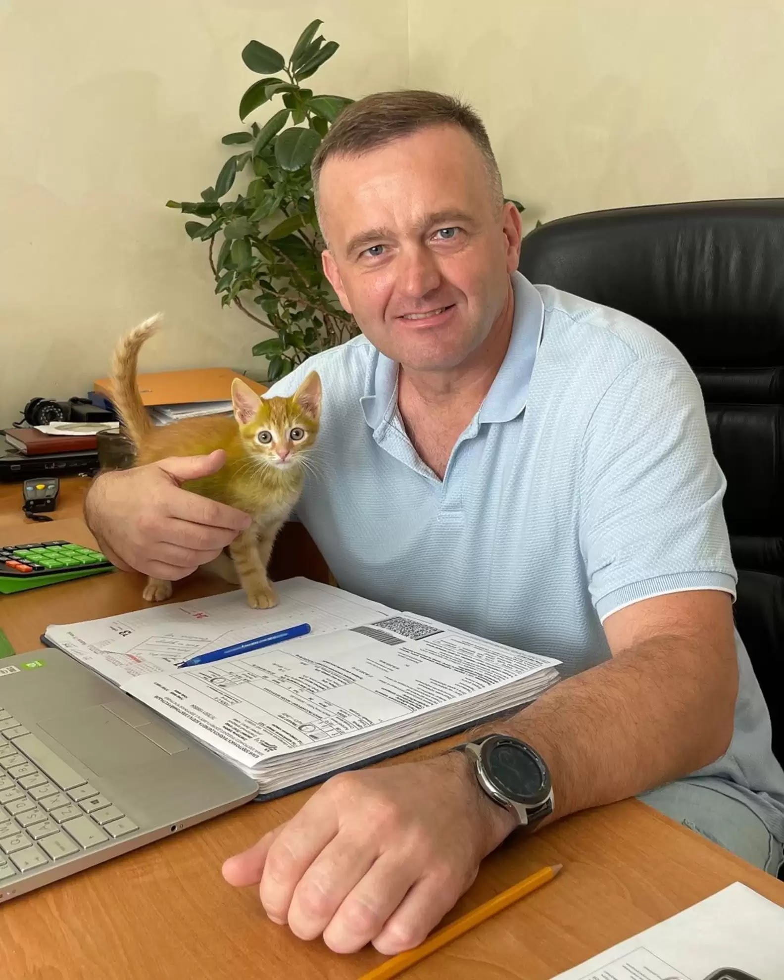 A green kitten and its owner